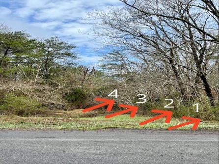 112 Franklin, Woodbine, NJ, 08270 Aditional Picture