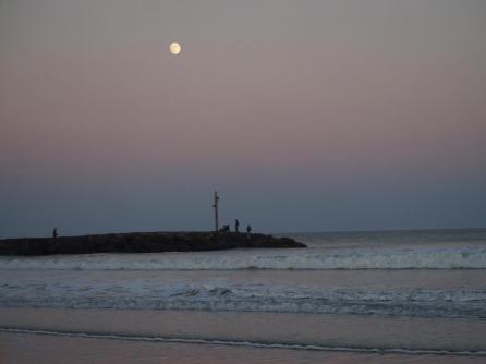 281 7th, Avalon, NJ, 08202 Aditional Picture