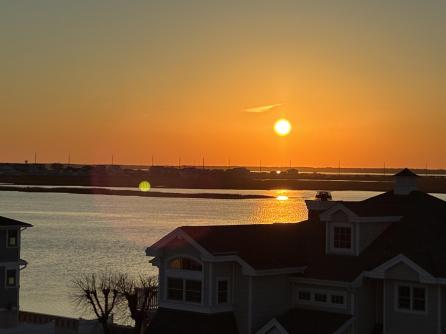8314 Sunset, Stone Harbor, NJ, 08247 Aditional Picture