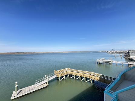 9400 Roberts, Sea Isle City, NJ, 08243 Aditional Picture