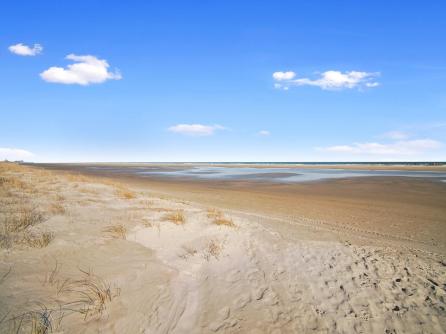 8401 Atlantic, Unit 301, Wildwood Crest, NJ, 08260 Aditional Picture