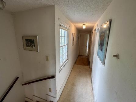 909 Corgie, Cape May, NJ, 08204 Aditional Picture