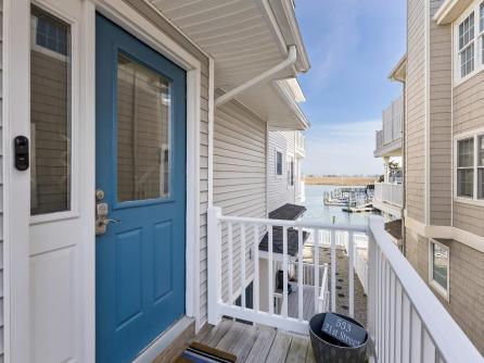 553 21st, Avalon, NJ, 08202 Aditional Picture