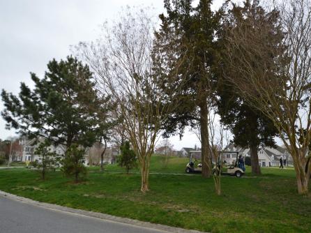804 Saint Andrews, Swainton, NJ, 08210 Aditional Picture