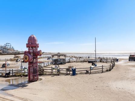 203 Pine, Wildwood, NJ, 08260 Aditional Picture
