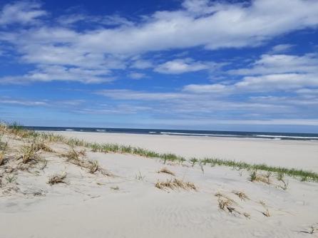 4114 Central, Sea Isle City, NJ, 08243 Aditional Picture