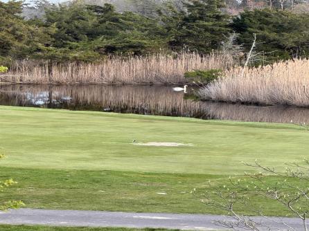 1106 Saint Andrews, Swainton, NJ, 08210 Aditional Picture