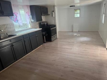295 Delsea, Lot 81, Cape May Court House, NJ, 08210 Aditional Picture