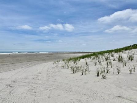 6772 Ocean Drive, Avalon, NJ, 08202 Aditional Picture