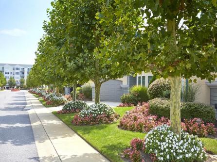 9905 Seapointe, Lower Township, NJ, 08260 Aditional Picture