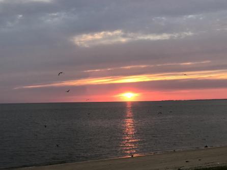 52 Beach, Cape May Court House, NJ, 08210 Aditional Picture
