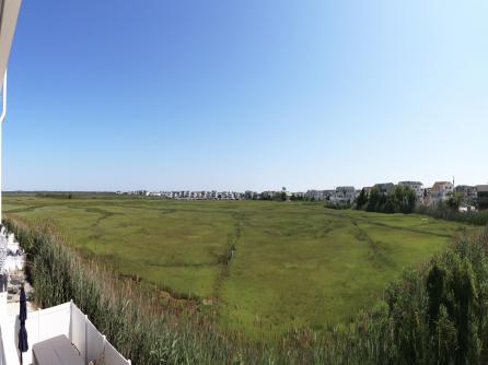 233 54th, Sea Isle City, NJ, 08243 Aditional Picture