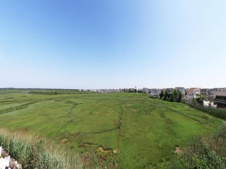 233 54th, Sea Isle City, NJ, 08243 Aditional Picture