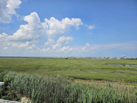 329 56th Street, Sea Isle City, NJ, 08243 Aditional Picture