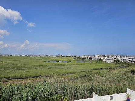 329 56th Street, Sea Isle City, NJ, 08243 Aditional Picture