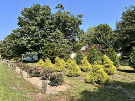 35 Bayshore, Green Creek, NJ, 08219 Aditional Picture