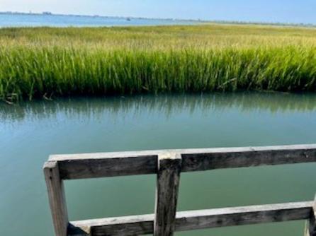 75 Boardwalk, Grassy Sound, NJ, 08260 Aditional Picture