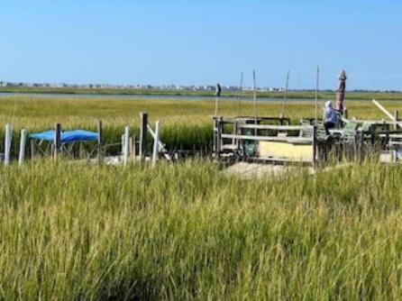 75 Boardwalk, Grassy Sound, NJ, 08260 Aditional Picture