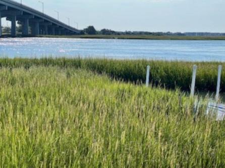 75 Boardwalk, Grassy Sound, NJ, 08260 Aditional Picture