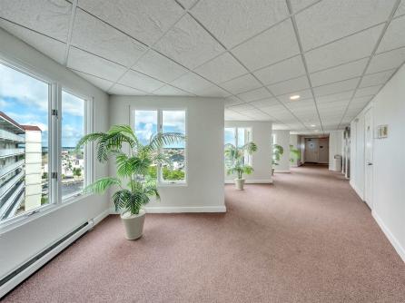300 Raleigh, Lower Township, NJ, 08260 Aditional Picture