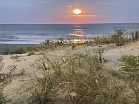 242 B 37th, Sea Isle City, NJ, 08243 Aditional Picture