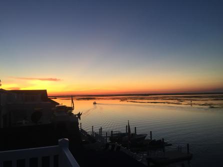 503 20th, Avalon, NJ, 08202 Aditional Picture