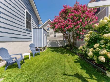647 Barry, Avalon, NJ, 08202 Aditional Picture