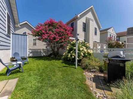 647 Barry, Avalon, NJ, 08202 Aditional Picture
