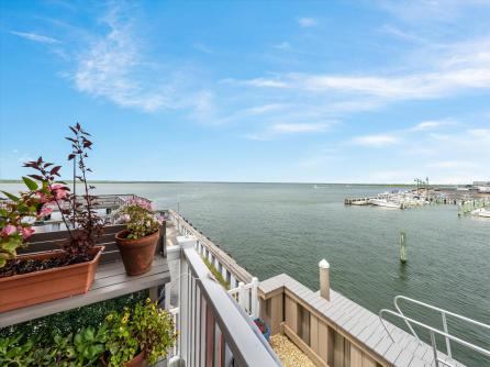 392 83rd, Stone Harbor, NJ, 08247 Aditional Picture