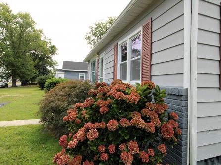 30 Wildwood, Villas, NJ, 08251 Aditional Picture