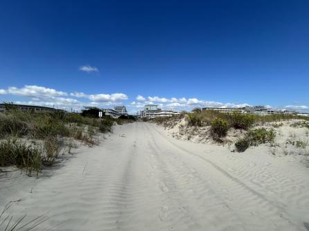 427 Monterey, #1, Wildwood Crest, NJ, 08260 Aditional Picture