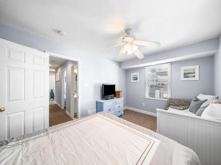 715 21st, Avalon, NJ, 08202 Aditional Picture