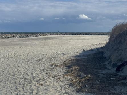 281 7th, Avalon, NJ, 08202 Aditional Picture