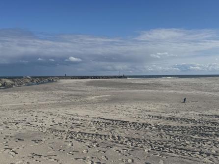 281 7th, Avalon, NJ, 08202 Aditional Picture