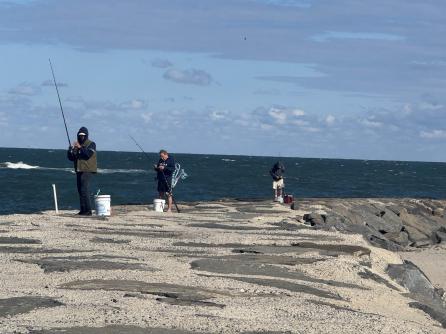 281 7th, Avalon, NJ, 08202 Aditional Picture