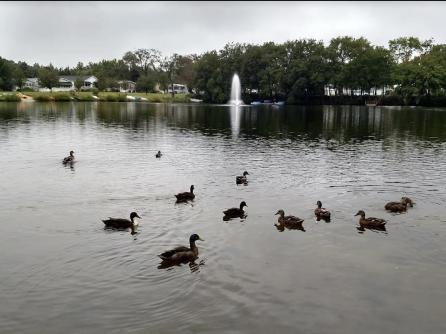 1402 Route 9, LOT 31 / Garden Lake, Cape May Court House, NJ, 08210 Aditional Picture