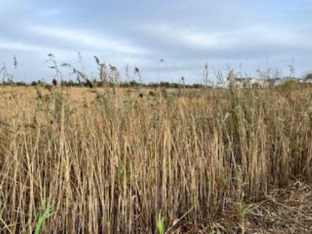  Memphis, Views galore, Lower Township, NJ, 08260 Aditional Picture