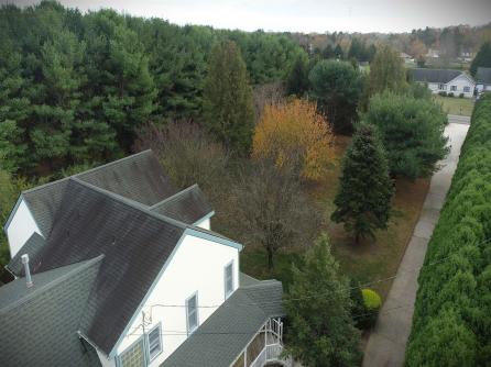 1981 Tuckahoe, Petersburg, NJ, 08270 Aditional Picture