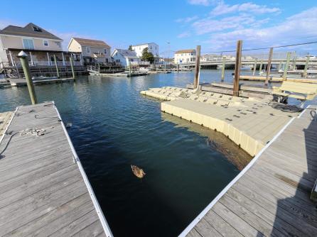 501-505 Maple, Wildwood, NJ, 08260 Aditional Picture