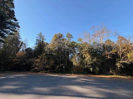 24 Timber, Marmora, NJ, 08223 Aditional Picture