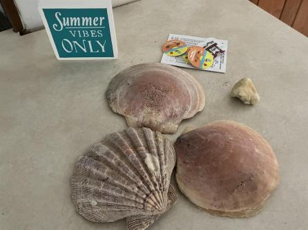 1122-1124 route 109, Lower Township, NJ, 08204 Aditional Picture