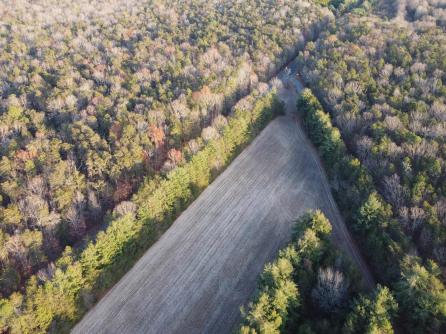  Route 347 & Carlisle Place Road, Maurice River Township, NJ, 08316 Aditional Picture