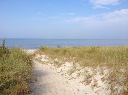 1614 Star, Villas, NJ, 08251 Aditional Picture