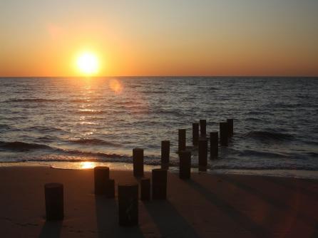 1614 Star, Villas, NJ, 08251 Aditional Picture