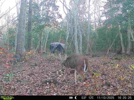 9 Deerfield Trail, Petersburg, NJ, 08270 Aditional Picture