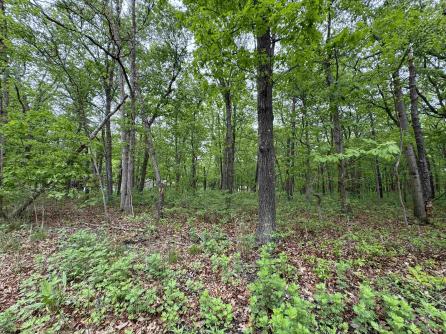 L15 L15 02 Ash Avenue, Galloway Township, NJ, 08205 Main Picture