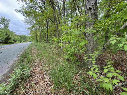 L15 L15 02 Ash Avenue, Galloway Township, NJ, 08205 Aditional Picture