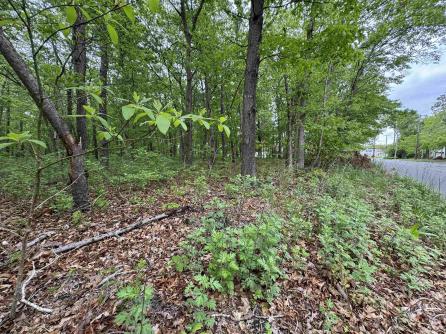 L15 L15 02 Ash Avenue, Galloway Township, NJ, 08205 Aditional Picture