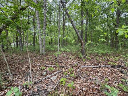 L15 L15 02 Ash Avenue, Galloway Township, NJ, 08205 Aditional Picture