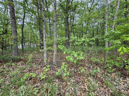 L15 L15 02 Ash Avenue, Galloway Township, NJ, 08205 Aditional Picture